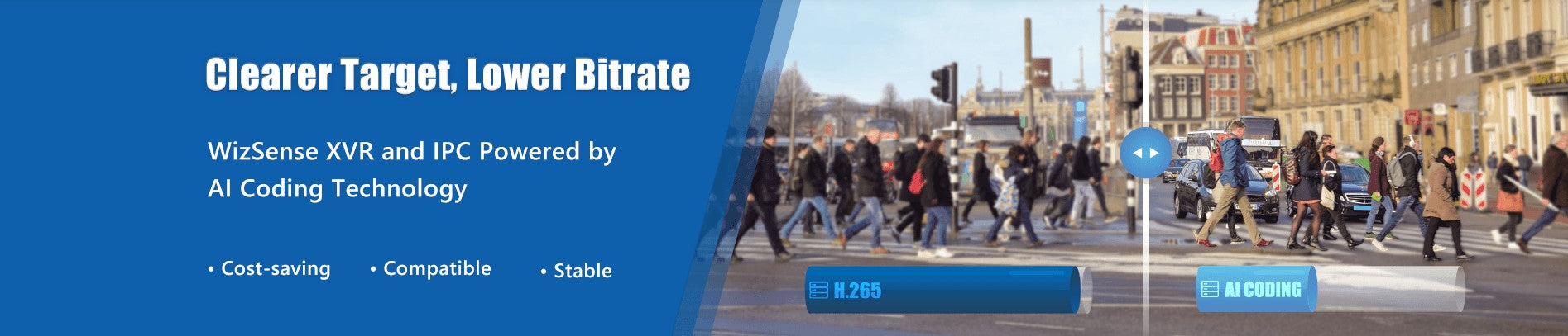 Dahua Network Video Recorder (NVR)