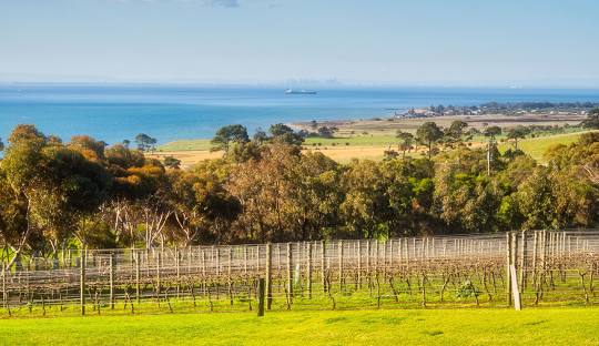 Secure Your Bellarine Property: Why CCTV Installation by CCTV Tradie is the Smart Choice