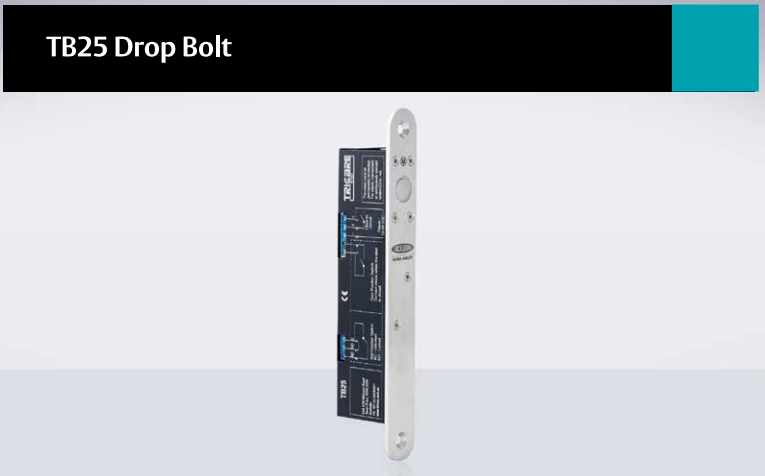 Lockwood TB25-1 D/BOLT 12-24VDC Fail Safe Monitored