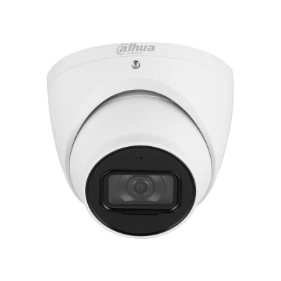 IP Cameras
